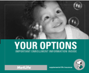 MetLife Options Brochure